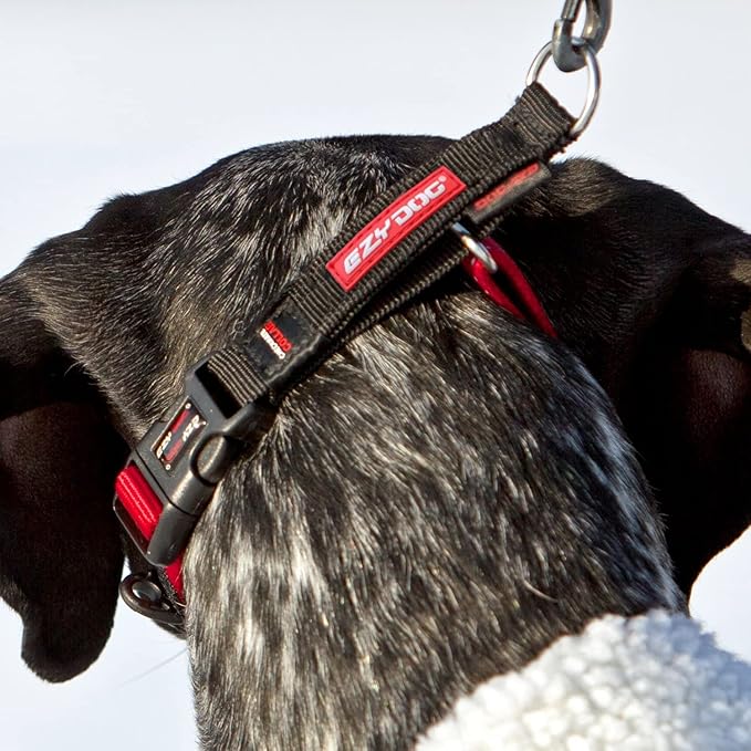 EzyDog Checkmate Martingale Collar for Dogs – Premium Nylon Training Dog Collar for Easy Control with no Choking (Large, Red)