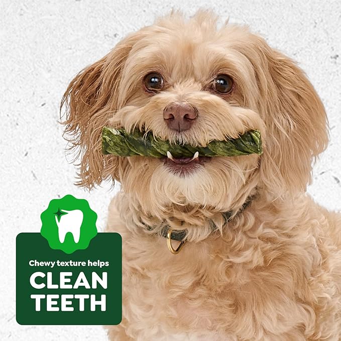 Greenies Occupy Twists Natural Dog Treats Large Breed Size Dog Chews Long Lasting Chicken Flavor, 17.1 oz. Pack, 8 Count