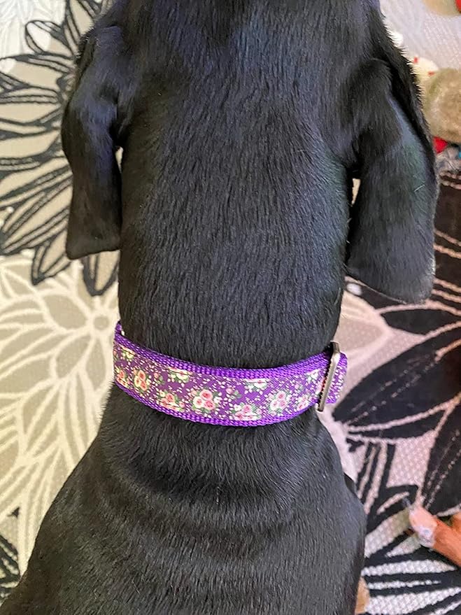 Martingale Dog Collar,Floral Pattern,with Safety Quick Release Buckle,Escape-Proof Anti-Pull for Large Dogs(Purple Floral,L)