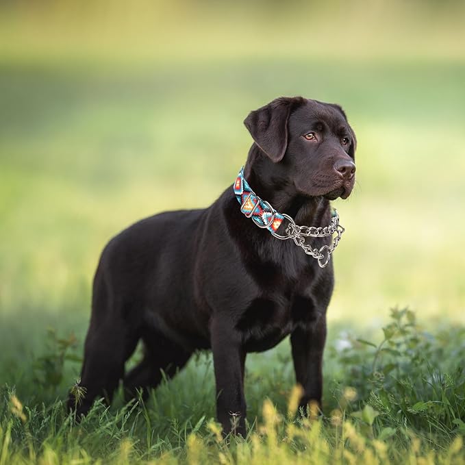 Stainless Steel Chain Martingale Collar for Dogs, No Pull Slip Cinch Choker Choke Collar Training Escape Proof Heavy Duty Dog Collar for Small Medium Large Pet Boy Male Dogs, Western Boho Aztec L