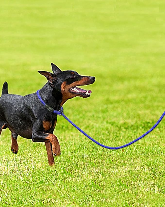 TagME Slip Leads for Dogs that Pull, 6 FT No-Pull Training Leash with Lock, Escape-Proof Design, Reflective & Padded Handle for Small Dogs, Navy Blue