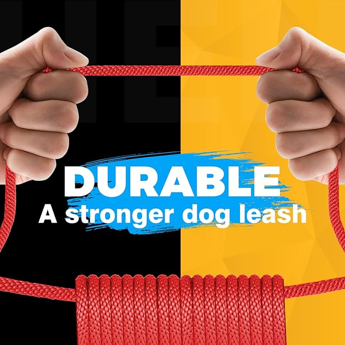 FASTFOX Dog Training Leash, 6ft x 1/2 Inch Slip Lead Loop for Small Medium Large Dogs, No Pull 3-in-1 (RED)
