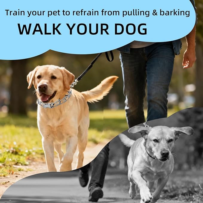 Adjustable No Pull Dog Collar with Cap for Small, Medium and Large