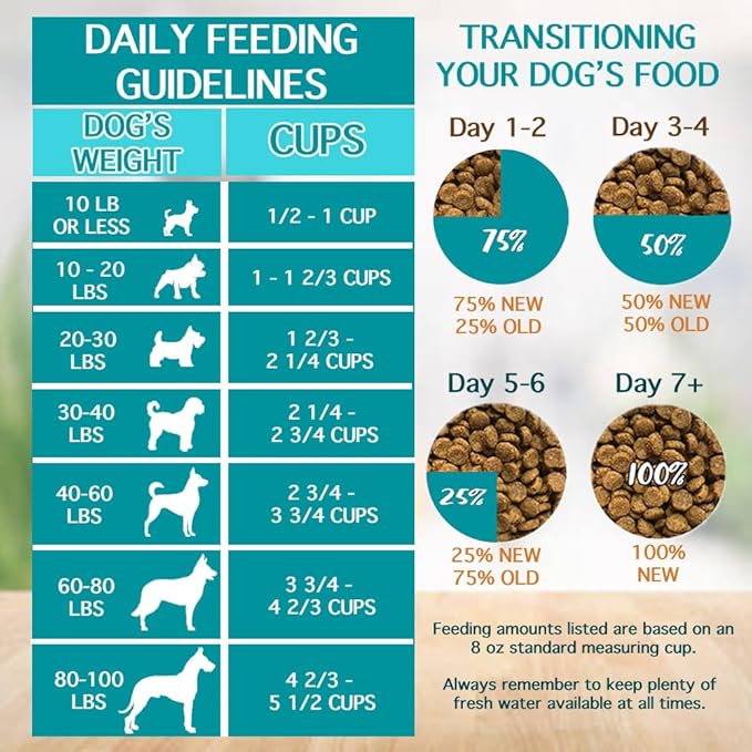 Chicken Soup for the Soul All Natural Premium Adult Dry Dog Food, Real Meat First Ingredient, No by-Products, Supports Gut & Immune Health, Chicken, Turkey & Brown Rice, 4.5lb (Pack of 2)