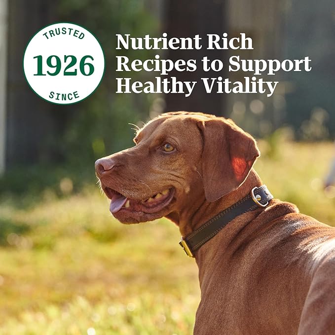 Nutro Natural Choice Premium Loaf Canned Dog Food, Adult Wet Dog Food Turkey Recipe 12.5 oz. cans (12 Count)