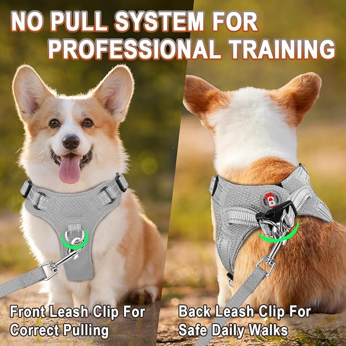 Dog Harness Step in Dog Vest Harness, Reflective Adjustable Puppy No Pull Harness Breathable Soft for Small and Medium Dogs Cats, Grey, XS