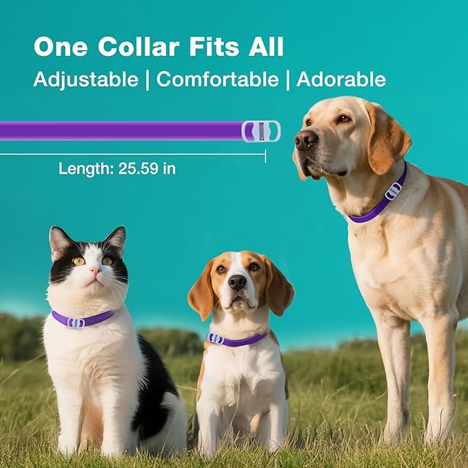 ZingZap Flea & Tick Collar 2-Pack Purple, Protects from Biting Insects, Adjustable Fits Both Dogs & Cats, Built-in Plant Based Formula, Slow Release Lasting Protection, Waterproof