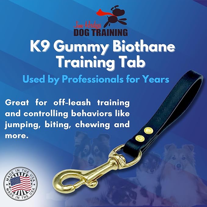 Biothane Training Tab Leash for Dogs, Brass Hardware, No Pull with Easy Grip Handle, Made in The USA, Professional Grade-Black