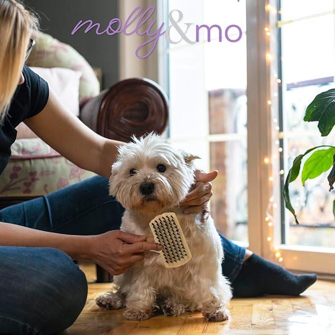 Double-Sided Dog 7 Inch Grooming Brush with Wood Handle, 2-In-1 Pin and Bristle Brush for Pet Hair
