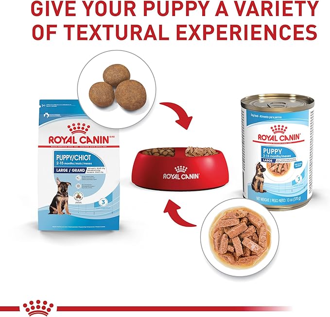 Royal Canin Size Health Nutrition Large Puppy Thin Slices in Gravy Dog Food, 13 oz (Pack of 6)