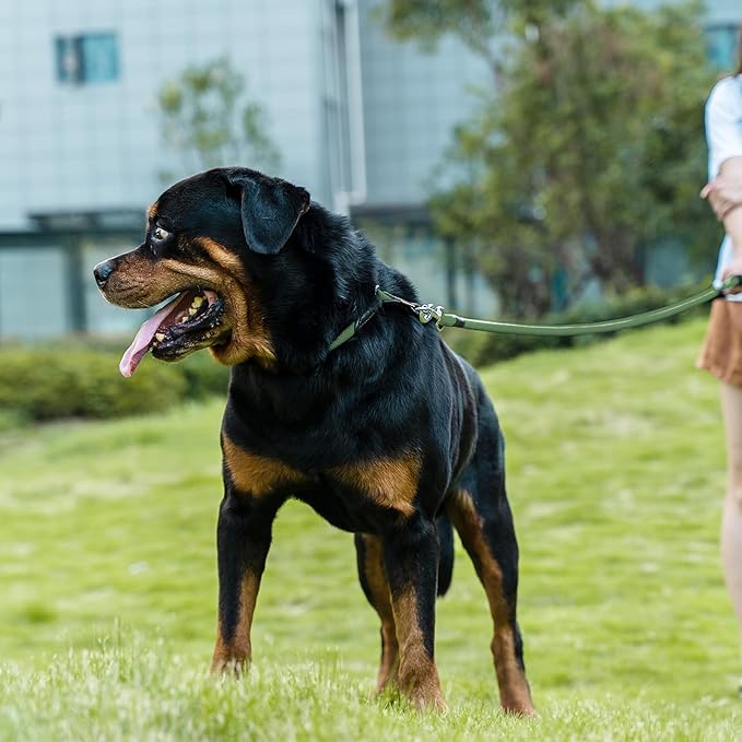 Dog Leash, Braided Rope Traction – Walking Training Lead for Medium/Large Dogs ((1/2") x 6FT, Dark Green)
