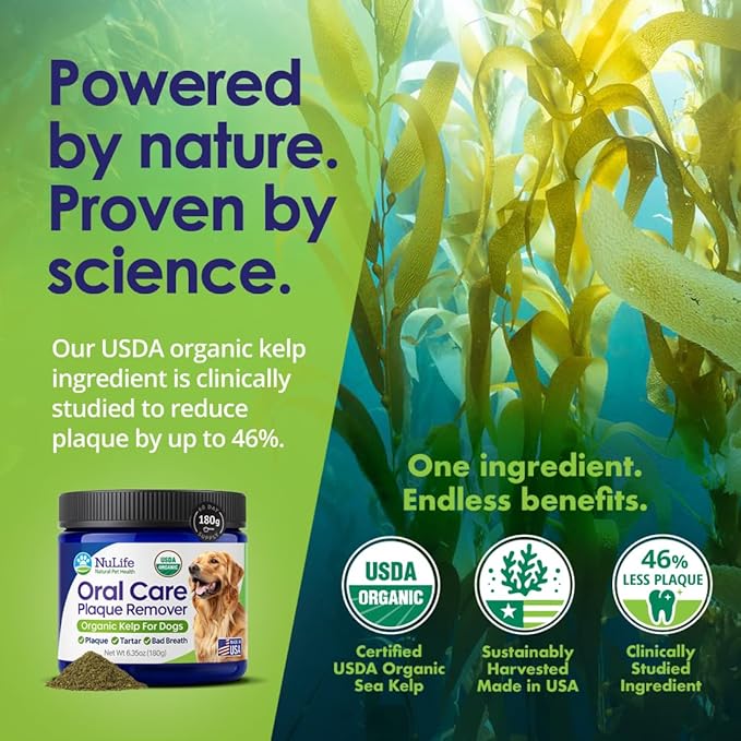 NuLife Natural Pet Health Dog Teeth Cleaning Powder, Dog Plaque and Tartar Remover, Bad Breath Treatment for Dogs with USDA Organic Sea Kelp Powder, Dog Dental Care Made Easy, for All Ages, 12 oz