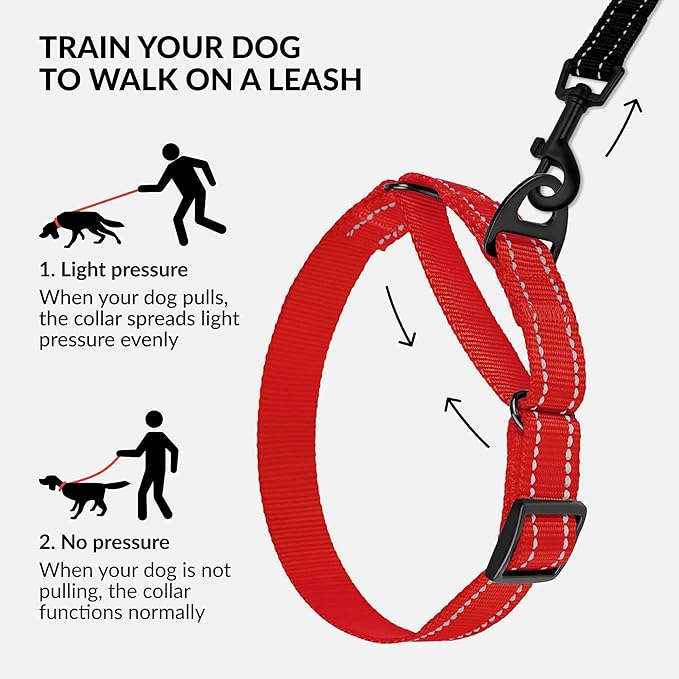 CollarDirect Reflective Martingale Dog Collar Nylon Heavy Duty Training Pet Collars for Small Medium Large Dogs Puppy Black Blue Mint Green Red Pink Purple Dark Red (M, Neck Size 13"-18", Red)