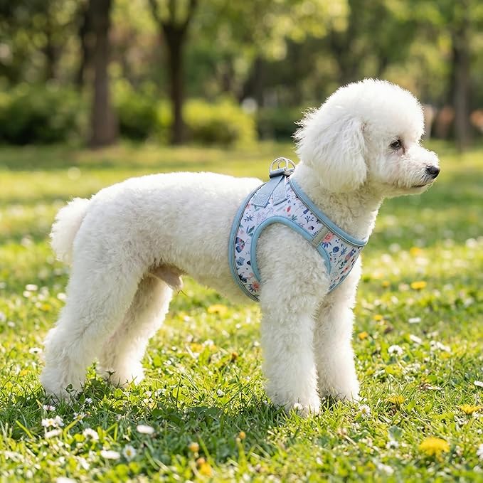 Step in Dog Harness and Leash Set, Reflective Adjustable No Pull Dog Harness for Extra-Small/Small Dogs Puppy and Cats, Soft Padded Mesh Vest Harnesses for Girl and Boy Pets(Cute Insect,S)