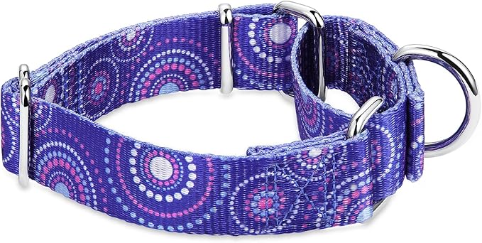 Martingale Collar Dog Collar No Pull Pet Collar Heavy Duty Dog Martingale Collars Silky Soft with Unique Pattern for Medium and Large Dogs (Medium, 1 Inch Wide, Firework Dots -Royal Blue)