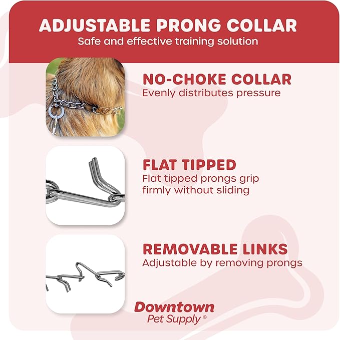 Downtown Pet Supply Chrome Plated Prong Collar for Dogs, Small - Adjustable, No-Choke and No Pull Dog Collar with Removable Links - Pinch Collar for Dogs Under 20 lbs and 14" Neck Width
