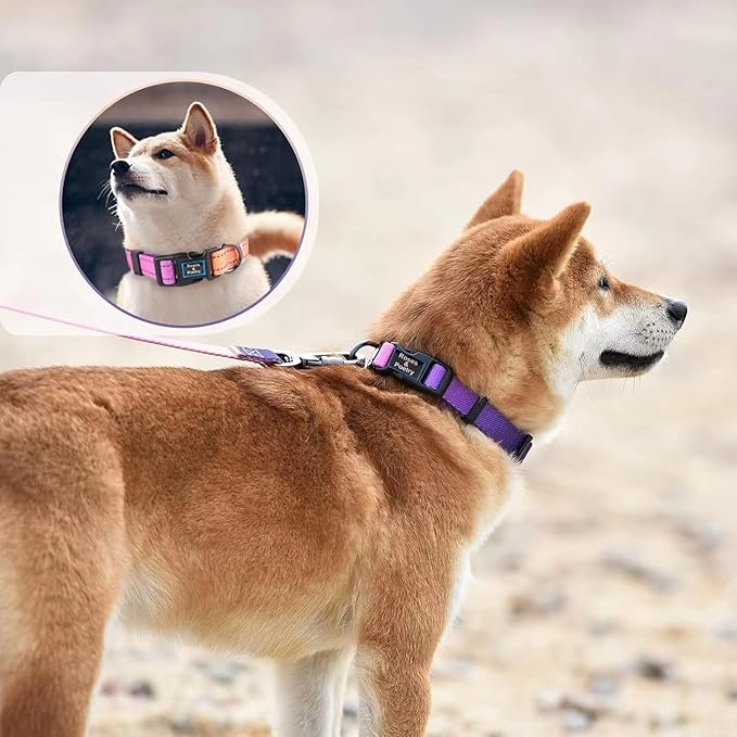 Roses&Poetry Reflective Small Dog Collar and Leash Set, Puppy Personalized Boy and Girl Collar with Leash, Adjustable Nylon Durable Pet Matching Collars Leashes for Small Puppies（Mistyrose-S