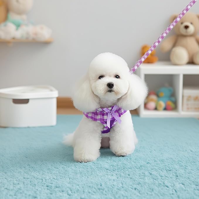 EXPAWLORER Cute Dog Harness and Leash Set - Purple Girl Dog Harness Checkered Step-in Design, Easy Adjustable No-Choke Lightweight Breathable Vest for Puppy Small Dogs Cats Outdoor Walking, X-Small