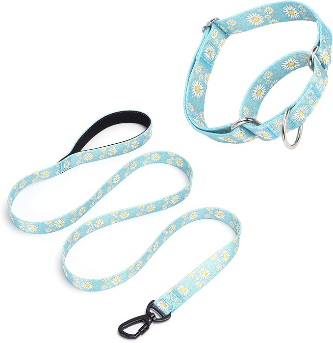 Martingale Collar for Medium Dogs, Girl Dog Collar with Daisy Flowers, Heavy Duty No Pull Dog Collar Floral Design Dog Training Collar, Perfect for Training, Walking, Hunting (Light Blue + Leash, L)