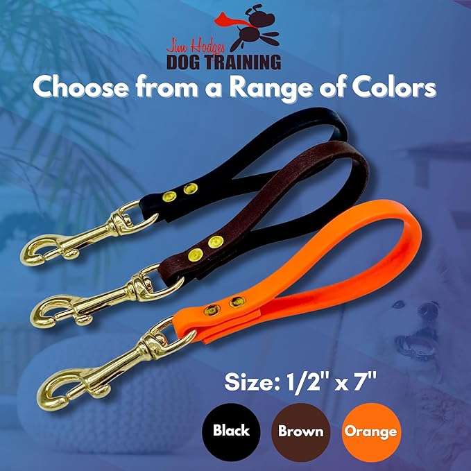 Biothane Training Tab Leash for Dogs, Brass Hardware, No Pull with Easy Grip Handle, Made in The USA, Professional Grade-Black