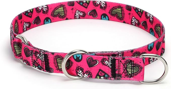 Training Dog Collar - No Pull Martingale, Slip With Slidable Stop Ring for Small, Medium, Large Dogs (NO4, L)