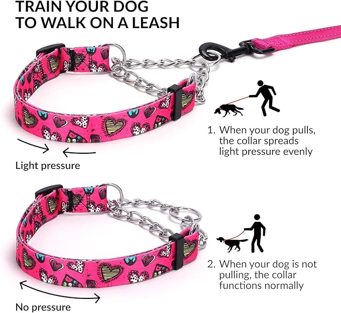 Martingale Dog Collar with Stainless Steel Chain - Limited Chain Cinch Training Collar for No Pull Training Dog - Flower Multicolor Cute Patterns - Premium No Slip Collar (HA12NO21, S)