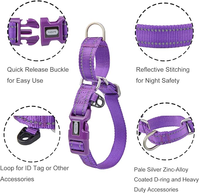 Reflective Martingale Collar for Dogs with Quick Snap Buckle Anti-Pull Nylon Safe Slip Collars for Easy Walking,Purple,Small