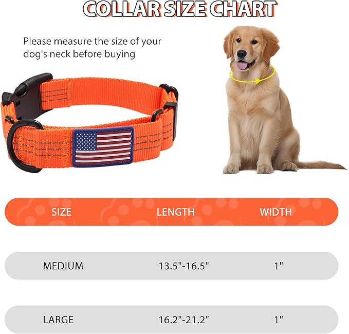 Martingale Dog Collar Quick Release Buckle No Pull Reflective Non-Slip for Medium Large Dogs Training (Orange, Large)