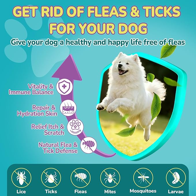 Flea & Tick + Itch Relief for Dogs Chewables, Flea and Tick Prevention for Dogs, Dog Allergy Chews, Dog Itching Skin Relief & Skin Repair, Flea Treatment Dogs, 200 Soft Chews, Chicken Flavor