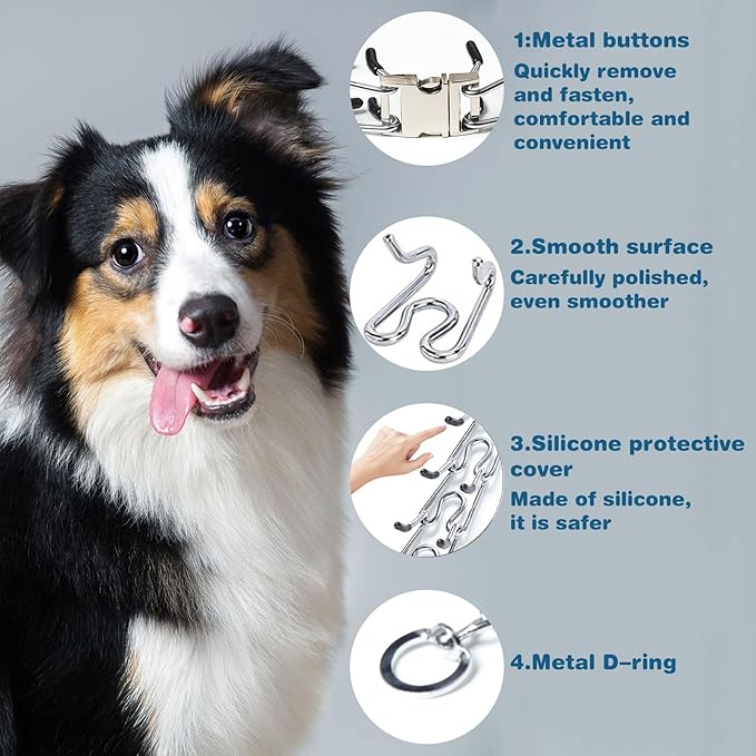 Prong Collar for Dogs,Dog Training Collar with One Professional Training Leash,Adjustable Pinch Collar with Quick Release Metal Buckle, No Pull Choke Collar for Small Medium Large Dogs（Silver, M/L）