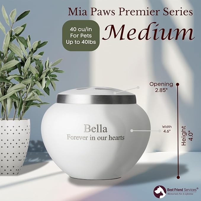 Mia Paws Premier Series Pet Urn for Dogs with Personalized Laser Engraving (Medium - Pets up to 35 lbs, Cloud White, Pewter Paw)
