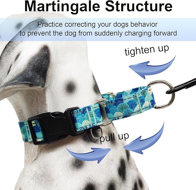 Reflective Martingale Collar with Buckle Adjustable Nylon Training Pet Collars for Extra Small Dogs (Turquoise Shell, XS)