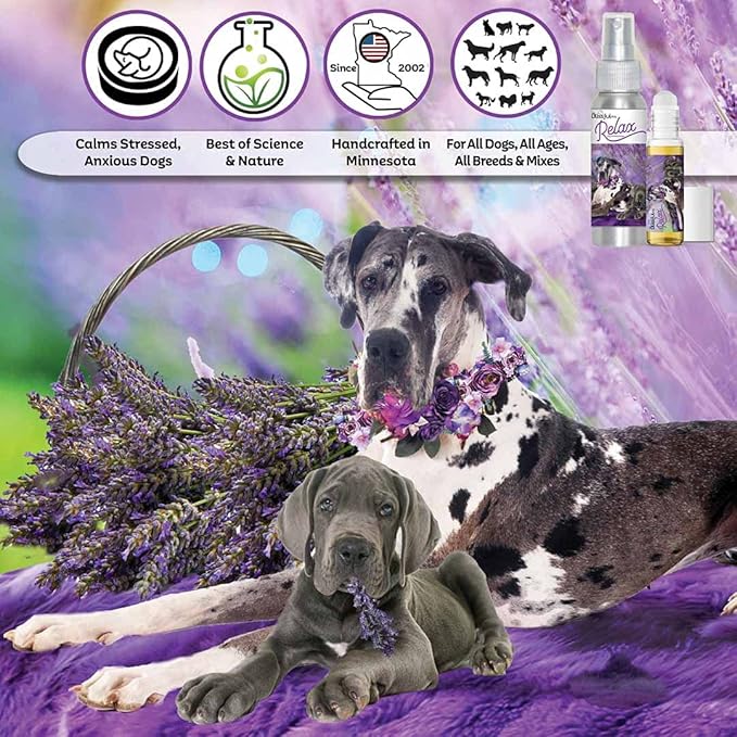 The Blissful Dog Great Dane Relax Dog Aromatherapy Spray for Your Dog's Anxiety