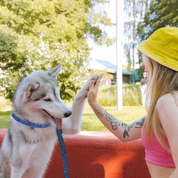 1TO3GO【Upgrade】 Adjustable Dog Training Collar with 4 Extra Links for Medium, Large and X-Large Dogs, Suitable for Dogs with Neck Sizes of 16 Inches or Larger (Seamless Ring)