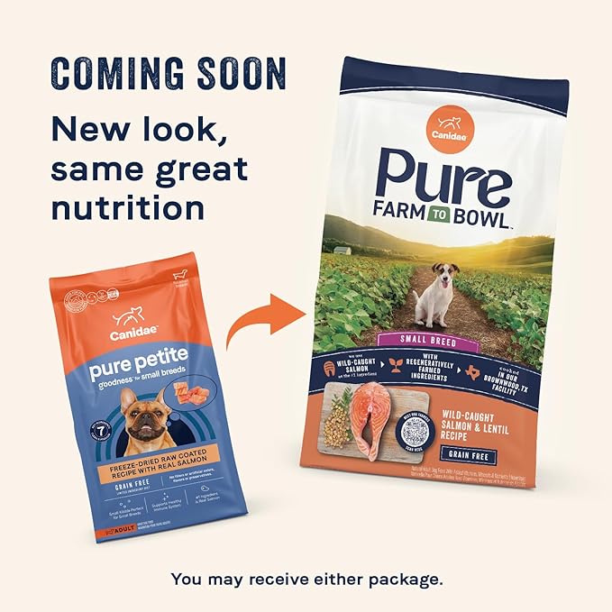 Canidae Pure Petite Premium Freeze-Dried Raw Coated Dog Food for Small Breeds, Real Salmon Recipe, 4 lbs, Grain Free