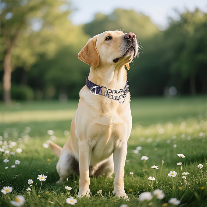 Reflective Martingale Collar for Dogs - Heavy Duty No Pull Dog Collar with Padded,Adjustable Dual D-Rings Design Choke Chain Collars for Extra Large Dogs Training Collar（Purple XL