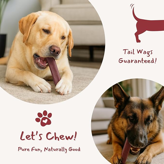 Majestic Pet Himalayan All-Natural Cheese Dog Chews - Long Lasting Dental Chew for Dogs - Healthy Pet Treats with Beneficial Ingredients (Urinary Tract Wellness, Regular, 1 Pack)