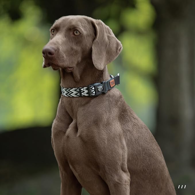 ANDA Martingale Collar for Dogs, Double-Layered Composite Material with Buckle,No-Pull Training Collar for Easy Control with no Choking (Chevron Black, Large)