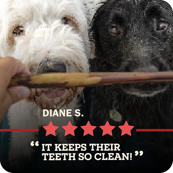 Redbarn Pet Products All-Natural 12" Braided Bully Sticks for Dogs - Premium Slow Roasted Long Lasting Chew Treats Made with 100% Beef - Single Ingredient Low Odor - 5 Count - Packaging May Vary