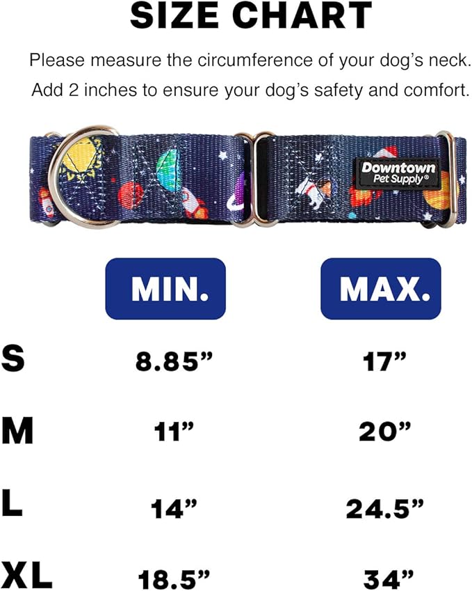 Downtown Pet Supply - Martingale Collar for Dogs - Dog Training Collar - Big, Wide & Thick Dog Collar - Escape-Proof, Weatherproof, Durable and Comfortable - Space - Small Dog Collar