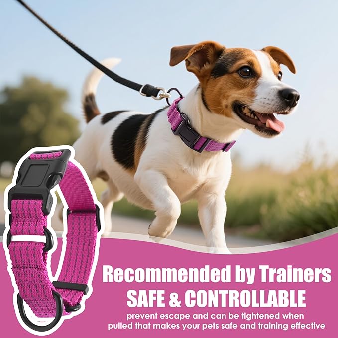 Martingale Collar for Dogs, Reflective Heavy Duty with Quick Release Nylon Buckle, No Pull Training Choker for Walking, Training, Hot Pink,S