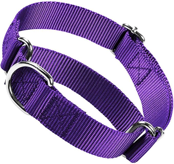 Martingale Collar for Dogs, No Pull Dog Collars for Large Dogs Heavy Duty No Slip Training Dog Choker Collar for for Small Medium Large Dogs (Purple, M)