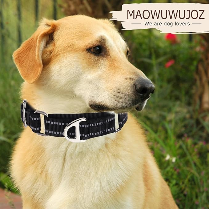 Martingale Dog Collar for Medium Dogs, No Pull Choke Collar with Reflective Nylon - Padded Comfort &- Adjustable Safe Dog Collar No Buckle for Nighttime Walking & Training -Black M
