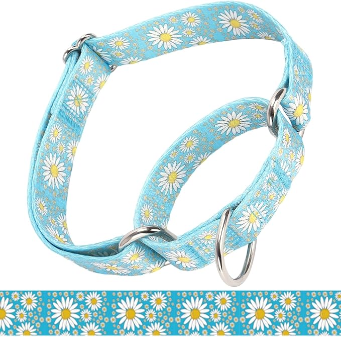 Martingale Collar for Medium Dogs, Girl Dog Collar with Daisy Flowers, Heavy Duty No Pull Dog Collar Floral Design Dog Training Collar, Perfect for Training, Walking, Hunting (Light Blue, L)