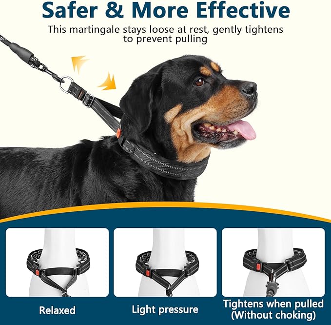 Crazy Felix No Pull Martingale Collar for Large Medium Small Dog Pitbull German Shepherd Doberman, Dog Collar Anti Pull with Buckle for Training Walking (Black, S-Neck 11-13", 1" Wide)
