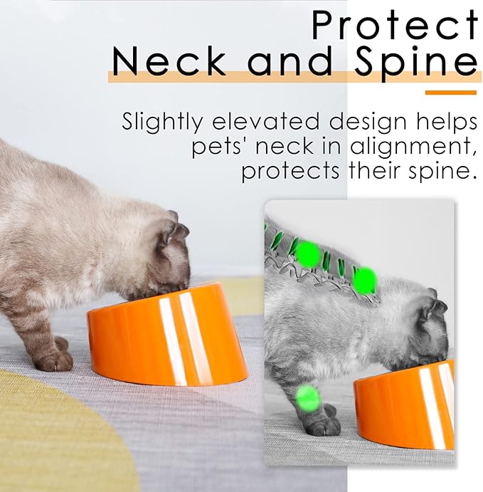 SuperDesign Mess Free 15° Slanted Bowl for Dogs and Cats, Tilted Angle Bulldog Bowl Dog Feeder, Non-Skid & Non-Spill, Easier to Reach Food M/1 Cup Bright Orange