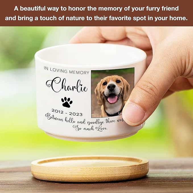 Customized Dog Memorial Picture Plant Pot Remembrance Gifts With Heartfelt Sentimental Quote Loss Plaque In Loving Memory of Plant Pot Dog Cat for Outdoor Sympathy Decor Gifts Pawprints Pet