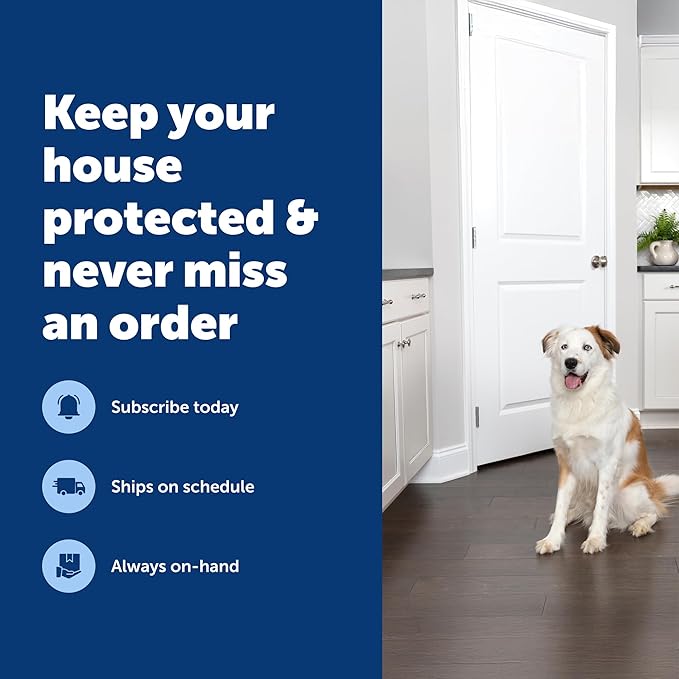PetSafe SSSCAT Automatic Spray Pet Deterrent - Contactless Behavior Correction - Motion Sensor Air Burst - Odorless - Non-Staining - Versatile Placement Spray - Refill Can