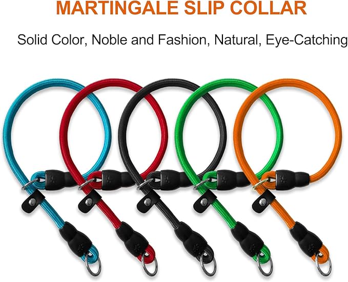 LOS ANDES Dog Slip Collar with Slidable Stopper, No Pull Choker Training Martingale Collar for Small Medium Large Dogs, Nylon, Orange, M (19 in x 10 mm)