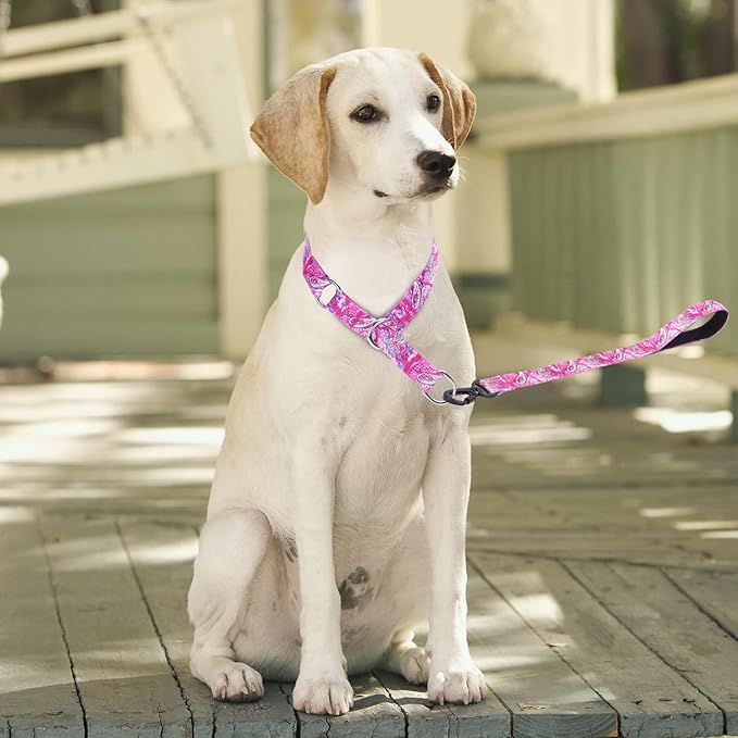Training Dog Collar, No Pull Martingale Collar, Slip Collar with Slidable Stop Ring for Small, Medium, Large Dogs (M, Pink)